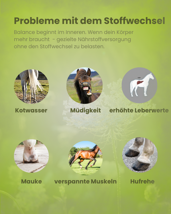 Krähenbusch® -  Mineral Stoffwechsel