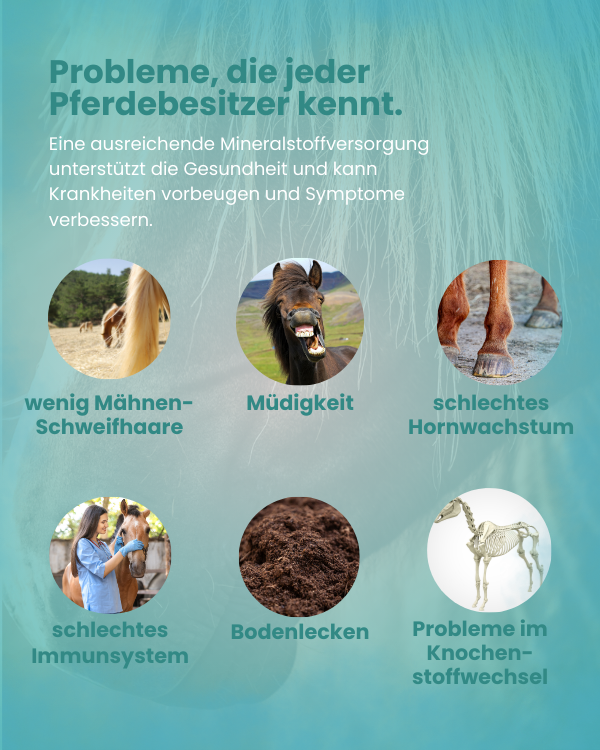 Krähenbusch® - Mineralfutter Organisch