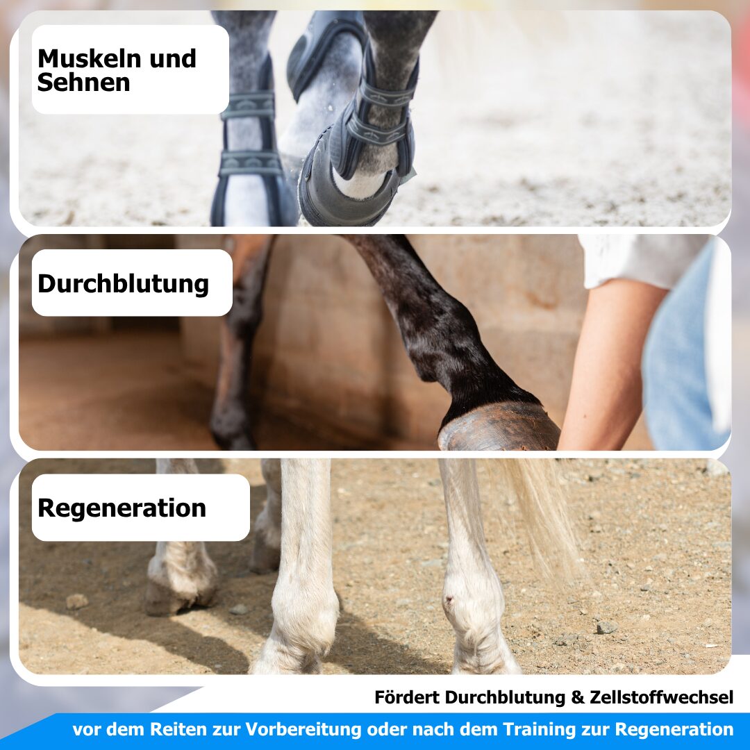 AnoKath® Rotlicht-Gamasche Pferd LEG 110 – Tiefenwärme, Regeneration & Mobilität