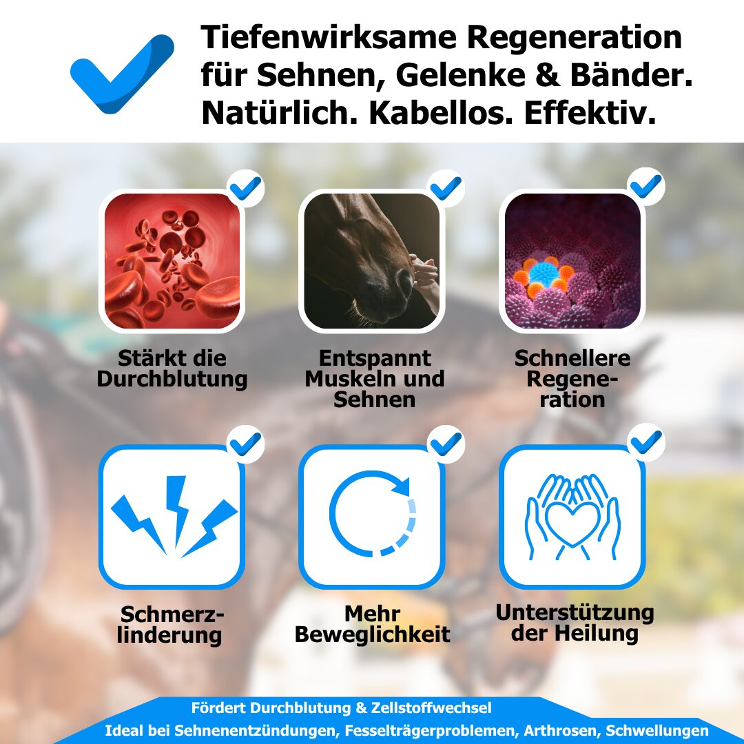 AnoKath® Rotlicht-Gamasche Pferd LEG 110 – Tiefenwärme, Regeneration & Mobilität