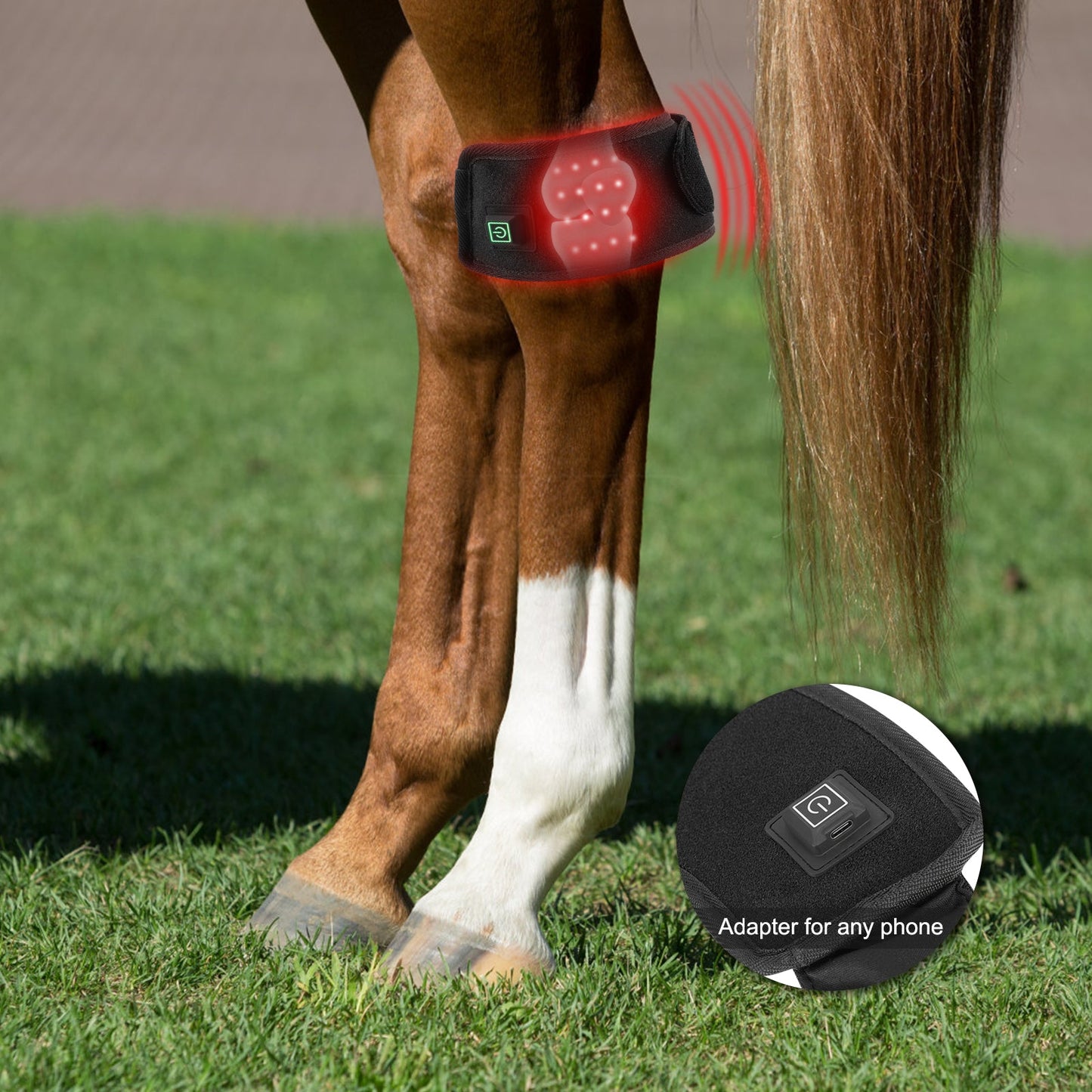 AnoKath® LEG 50 Rotlichtglocke Pferd – 2 Stück, Rot & Infrarot