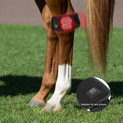 AnoKath® LEG 50 Rotlichtglocke Pferd – 2 Stück, Rot & Infrarot