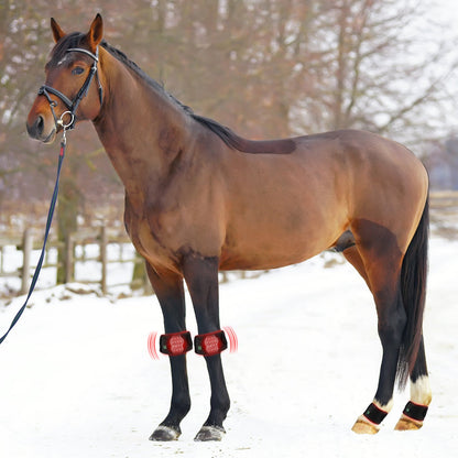 AnoKath® LEG 50 Rotlichtglocke Pferd – 2 Stück, Rot & Infrarot