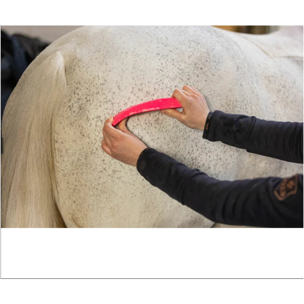 Excellent Horse - Grooming Brush