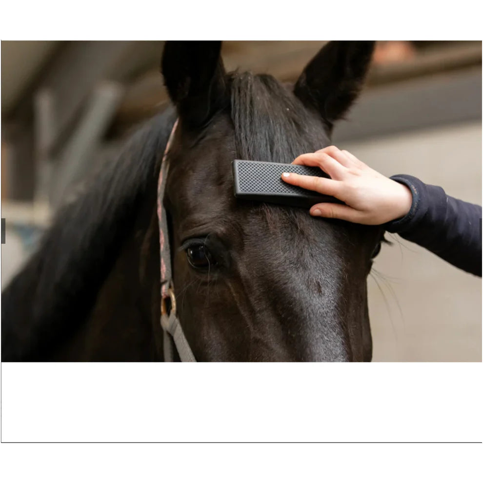 Excellent Horse - Grooming Brush