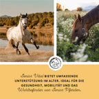 Annimally - Senior Vital Pulver