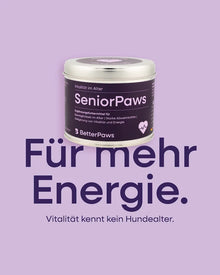 SeniorPaws