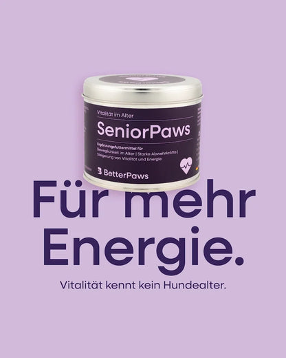 SeniorPaws