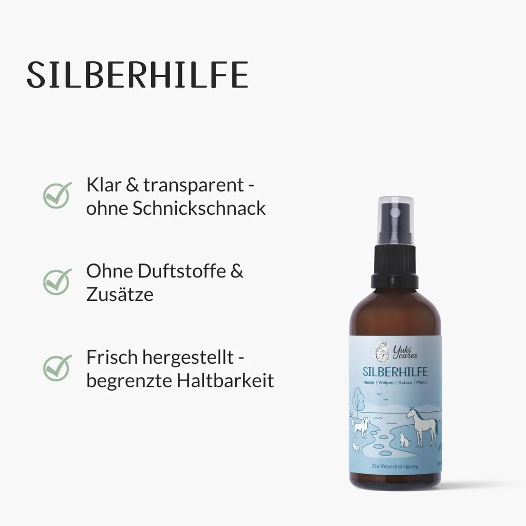Silberhilfe