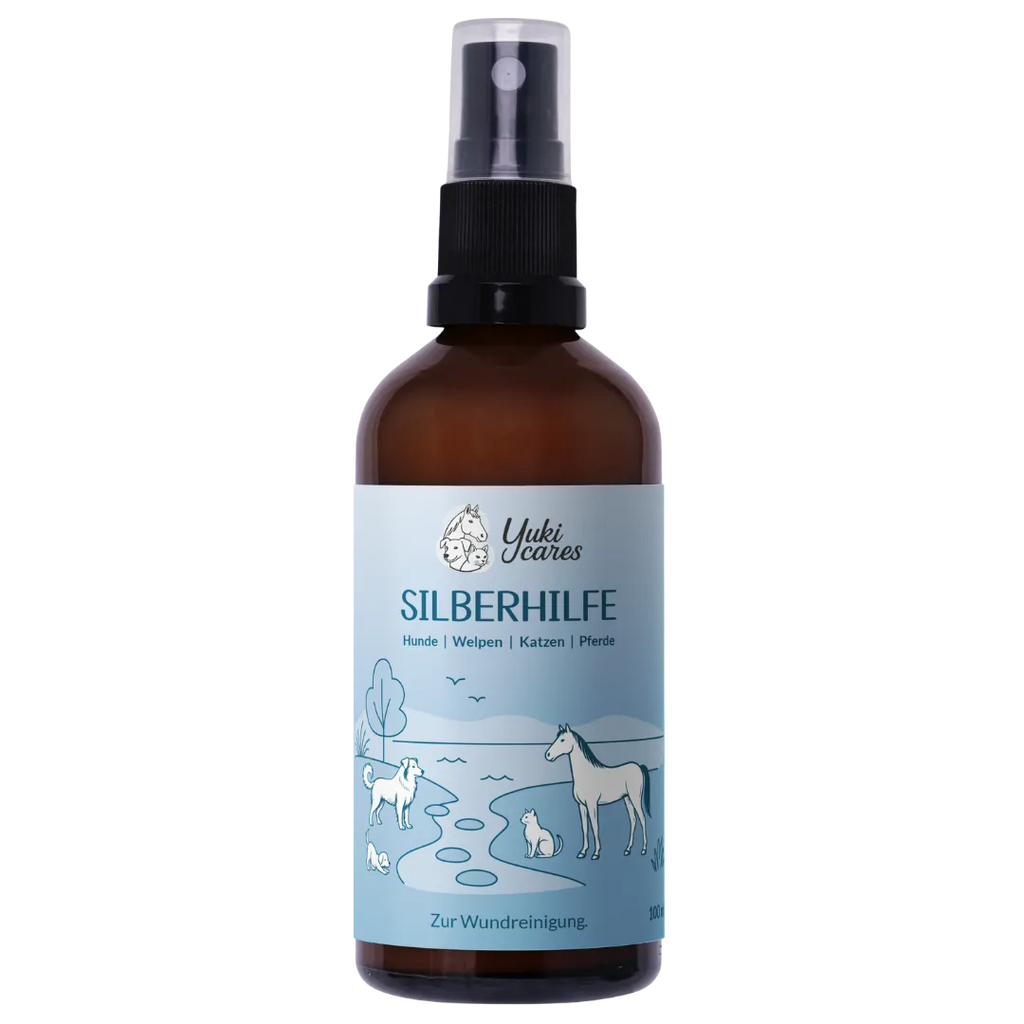 Silberhilfe