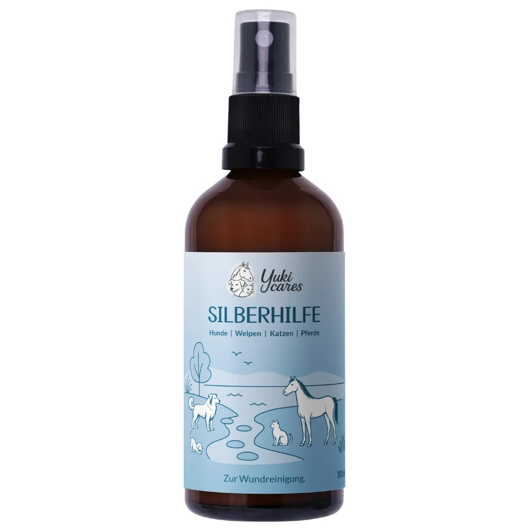 Silberhilfe
