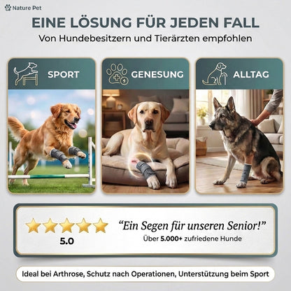 Sportbandage für Hunde