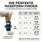 Sportbandage für Hunde