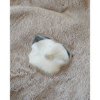 3 Handwärmer Taschenwärmer Taschenheizung Wärmekissen Wärmer Hund Katze 3er SET