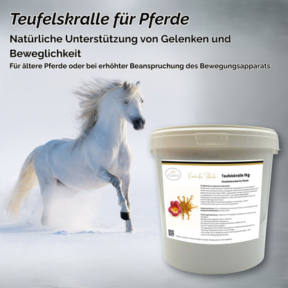 Teufelskralle Pferd geschnitten 1kg