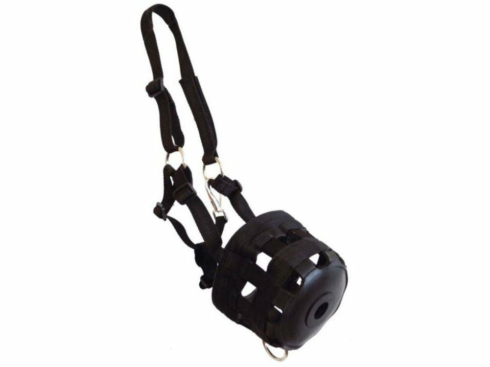 Icelandic Horse Fressbremse Nylon