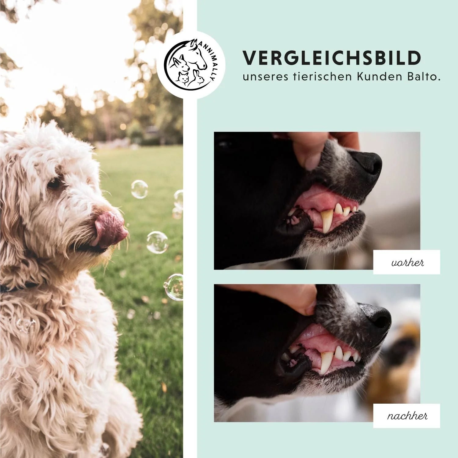 Annimally - Oral Vital Zahnpflege für Hunde