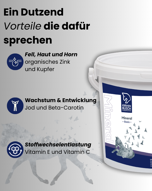 Krähenbusch® - Mineral Basis