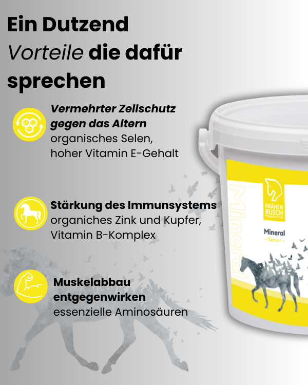 Krähenbusch® - Mineral Senior