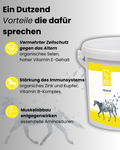 Krähenbusch® - Mineral Senior