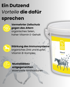 Krähenbusch® - Mineral Senior