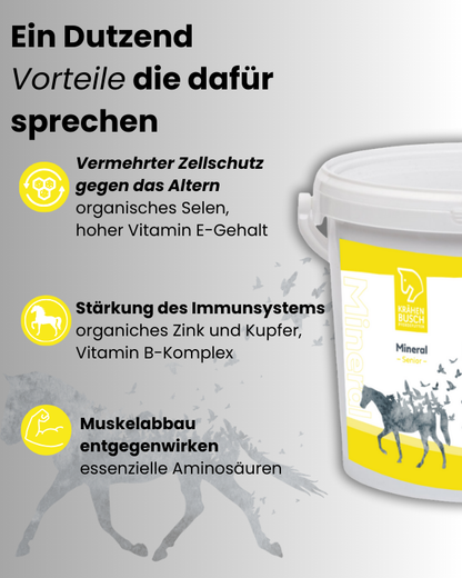Krähenbusch® - Mineral Senior