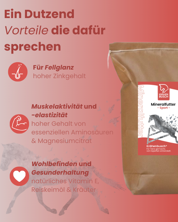 Krähenbusch® - Mineralfutter Sport
