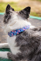 Pfotenlieblinge - Handgemachtes Paracord-Hundehalsband Bubblegum