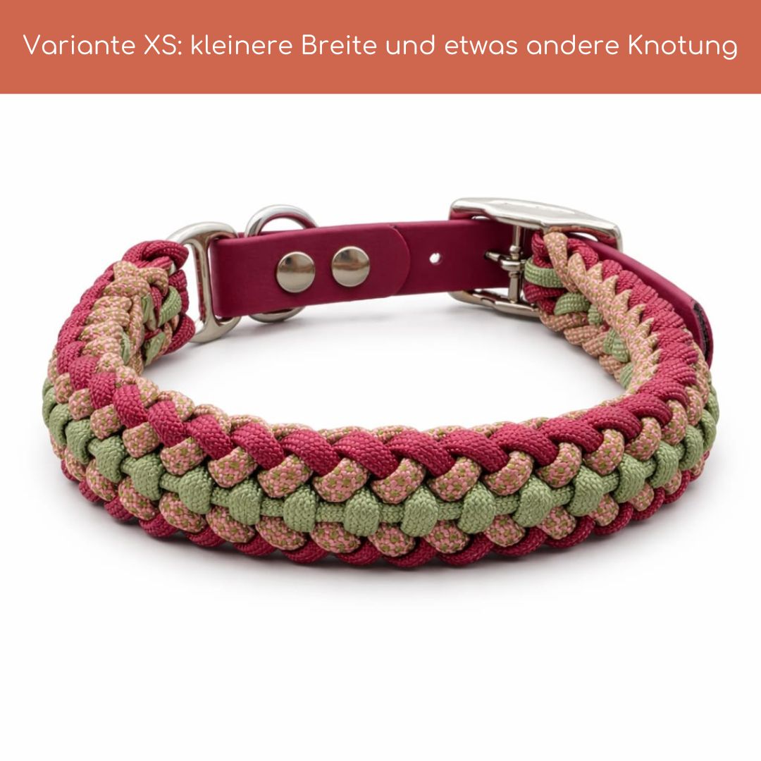 Pfotenlieblinge - Handgemachtes Paracord-Hundehalsband „Rosé Sage“