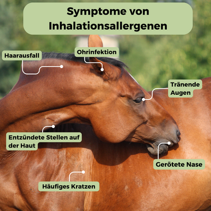 Inhalationsallergene-Test Pferd