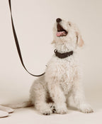 Halsband 'Ease'