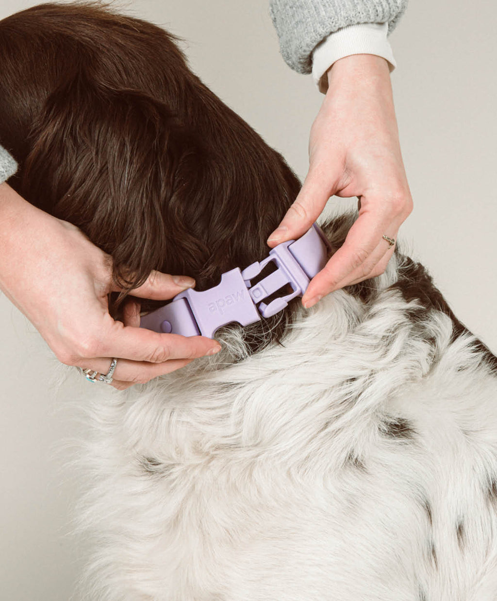 Halsband 'Ease'