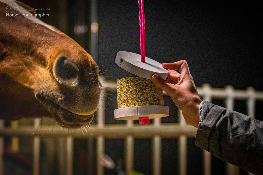 Happy Crackers - Happy Wild Detox Karotte Löwenzahn