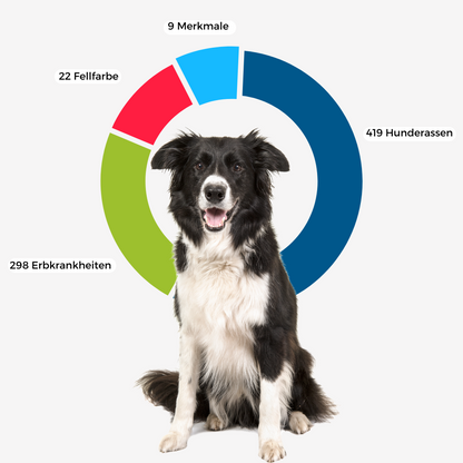 DNA-Erbkrankheiten Analyse Hund