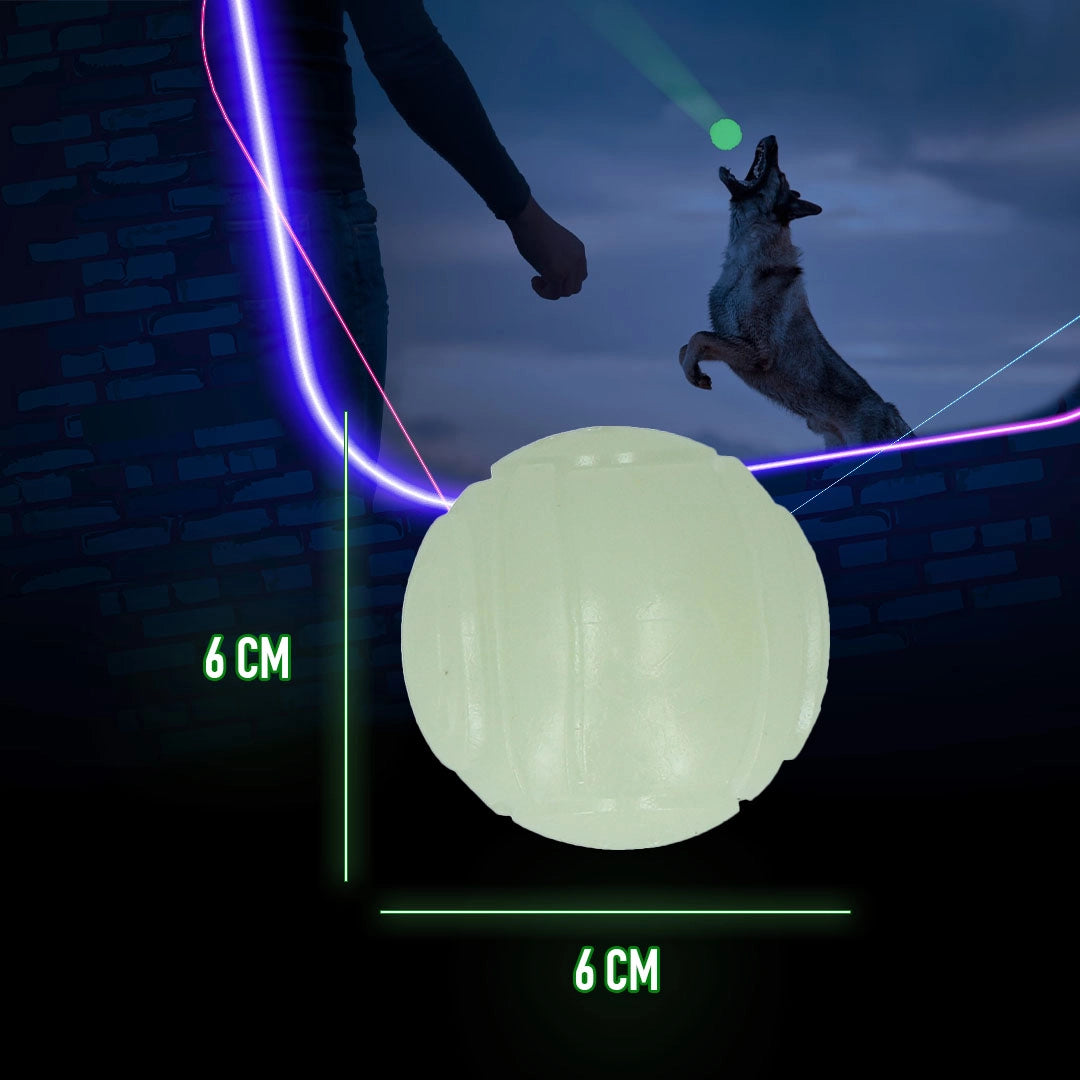 2 Glow Werf- und Fangspielzeug