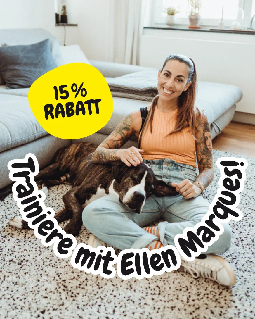 BUDDY. Hundespielzeug aus Leder "Kleiner Bär"