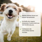 Allergietest Hund