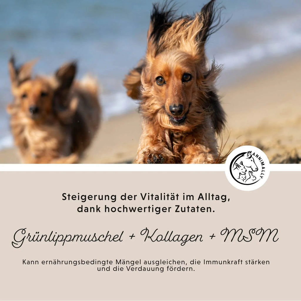 Annimally - Gelenkpulver für Hunde 300g