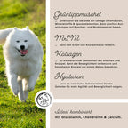 Annimally - Gelenkpulver für Hunde 300g