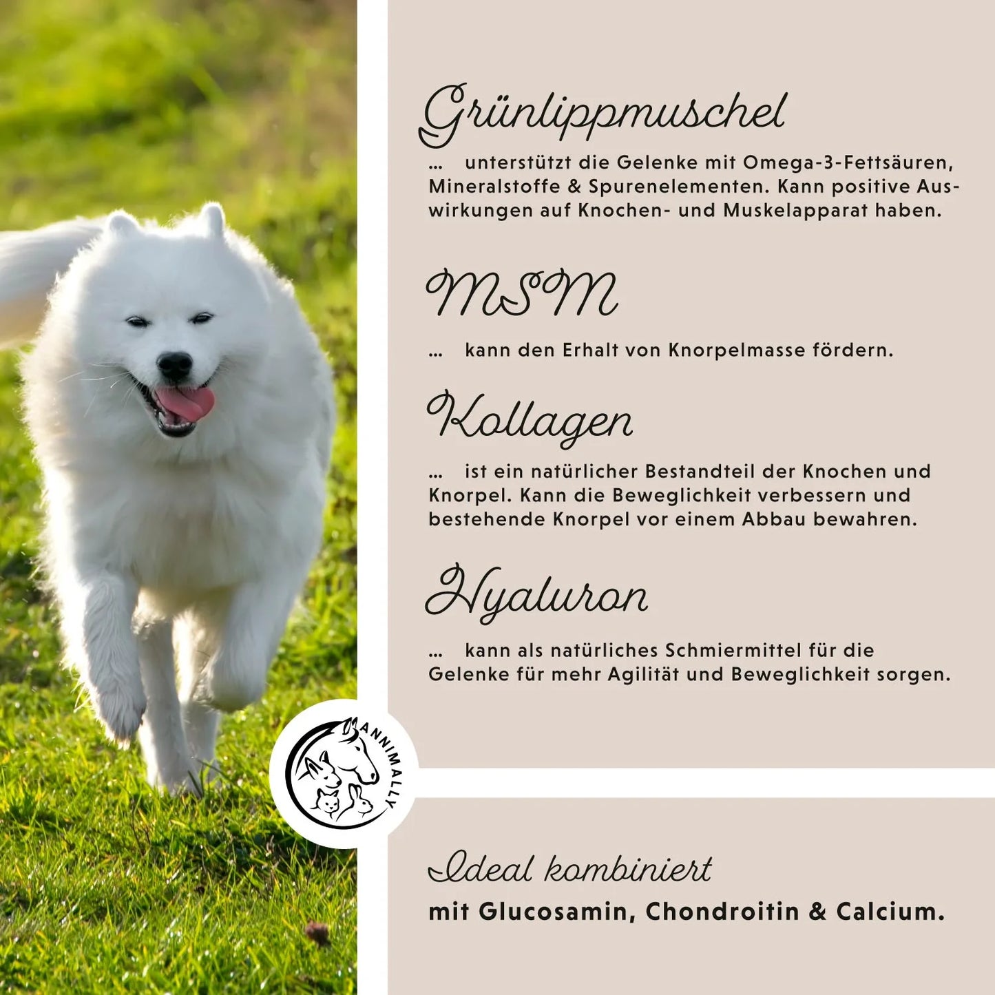 Annimally - Gelenkpulver für Hunde 300g