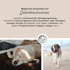 Annimally - Gelenkpulver für Hunde 300g