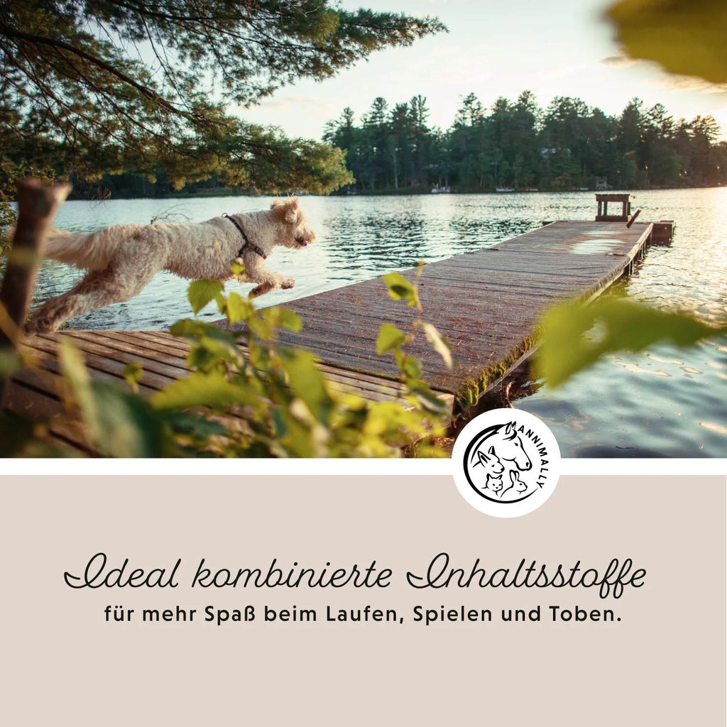 Annimally - Gelenkpulver für Hunde 300g