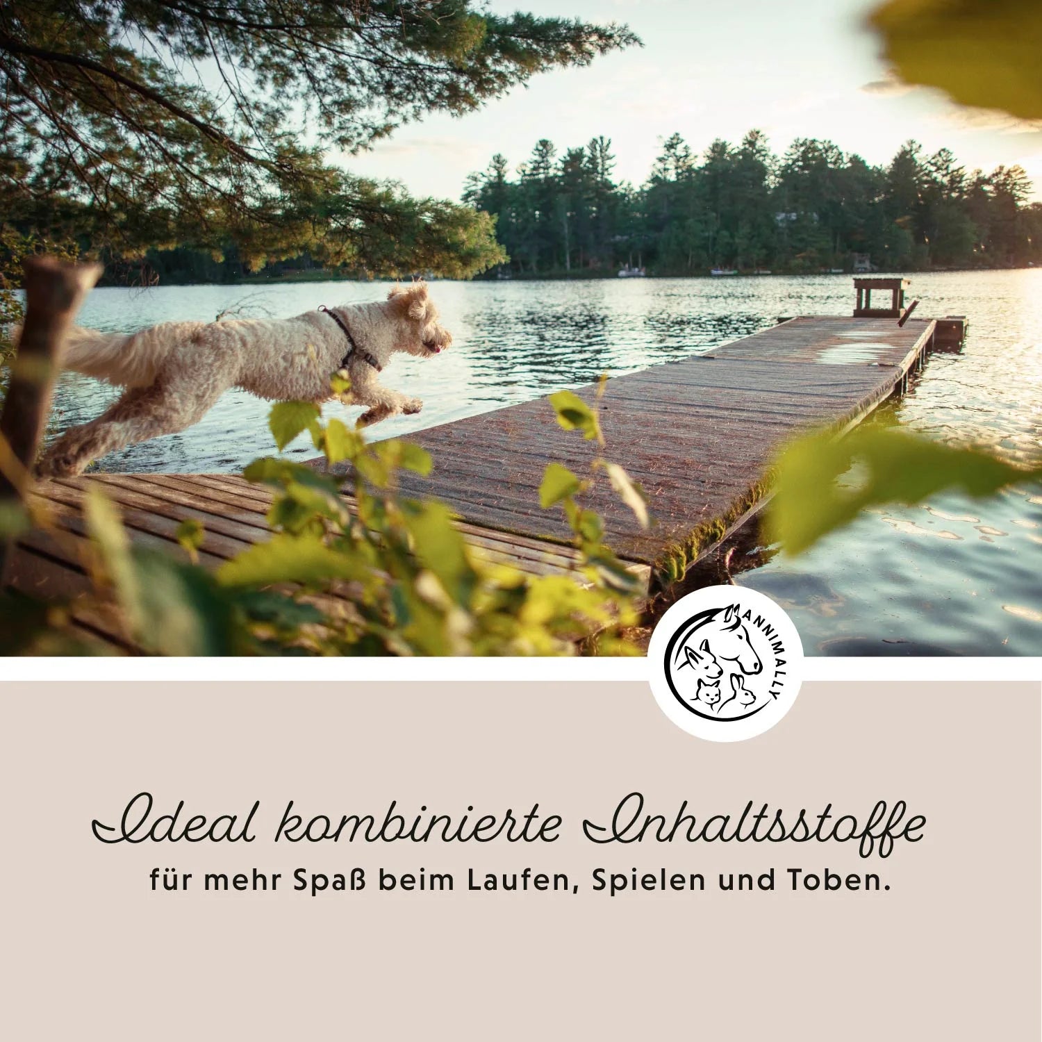 Annimally - Gelenkpulver für Hunde 300g