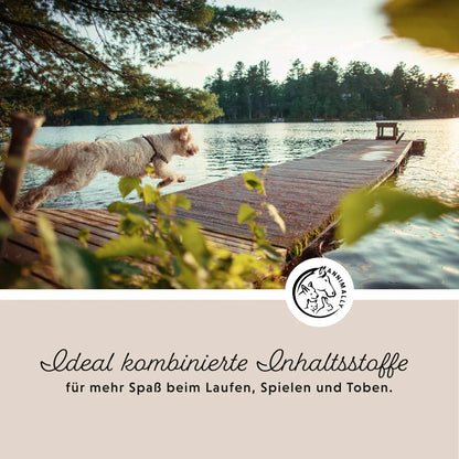 Annimally - Gelenkpulver für Hunde 300g