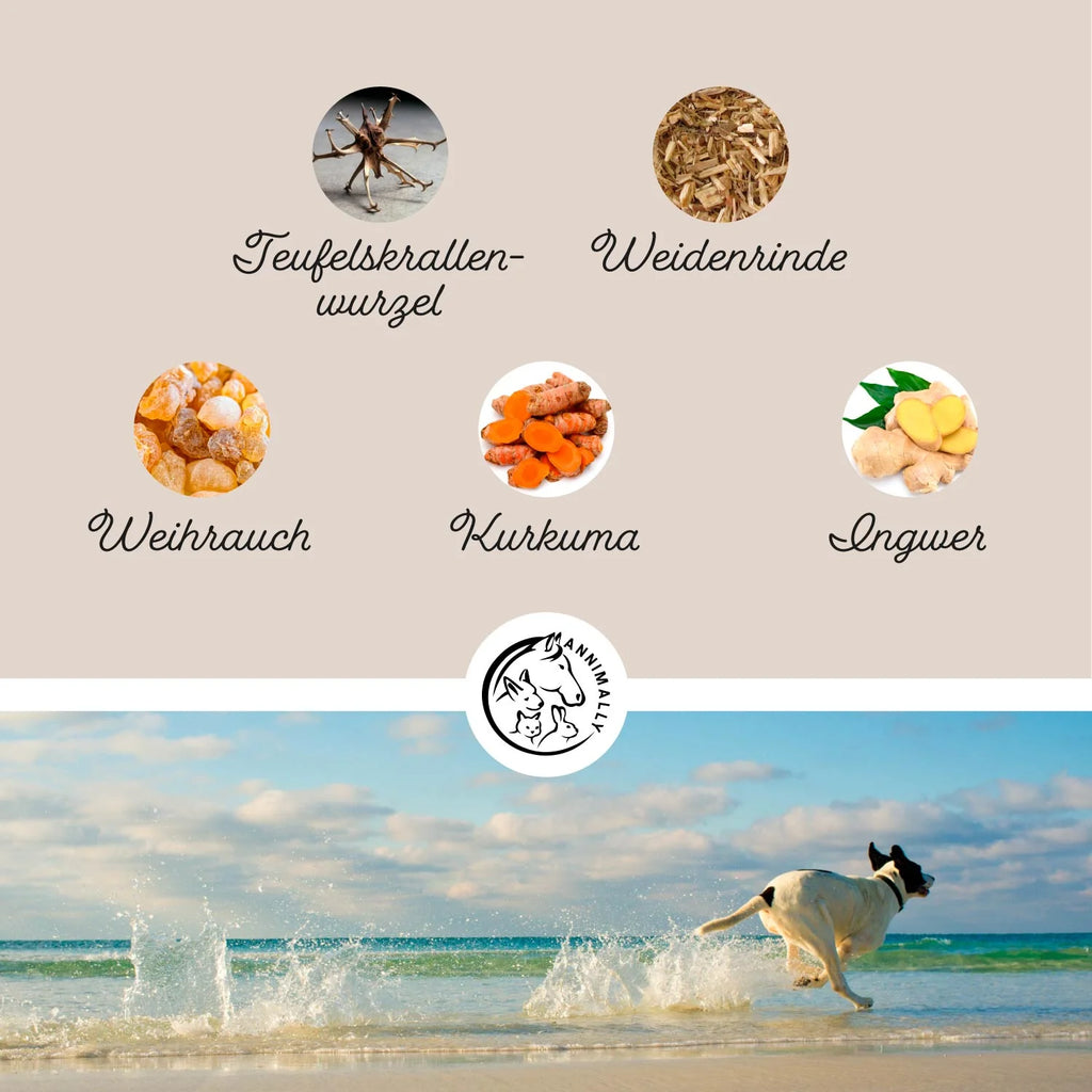 Annimally - Gelenkpulver für Hunde 300g