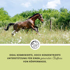 Annimally - Weight Gainer Konzentrat