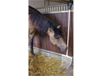 Icelandic Horse extra stabile Mistgabel