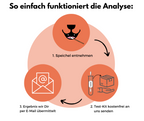 DNA Hunderassenbestimmung