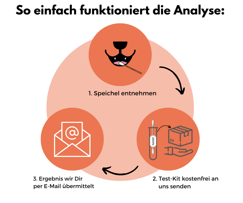 DNA Hunderassenbestimmung