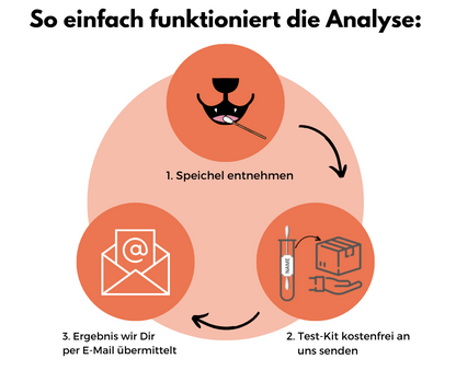 DNA Hunderassenbestimmung